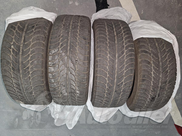 Sava - eskimo s3+ - Zimska guma