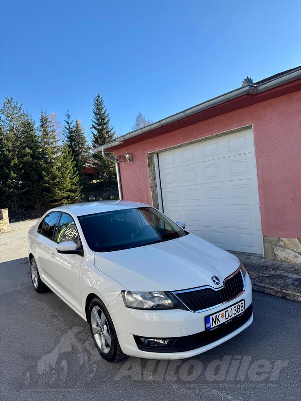 Škoda - Fabia - Rapid dsg