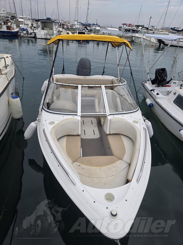 Campion - Allante 505