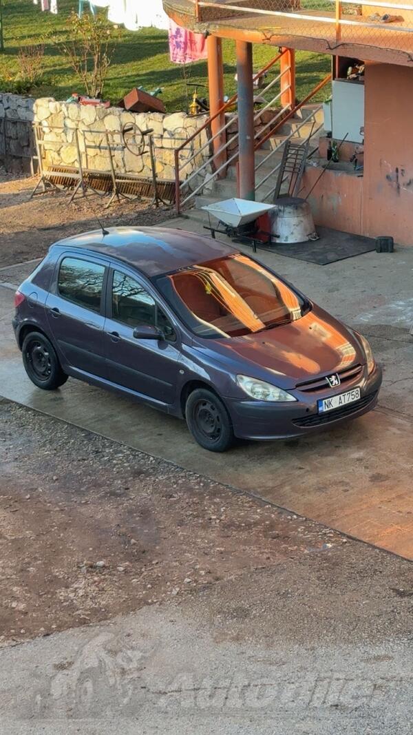 Peugeot - 307 - 2.0 hdi 66kw