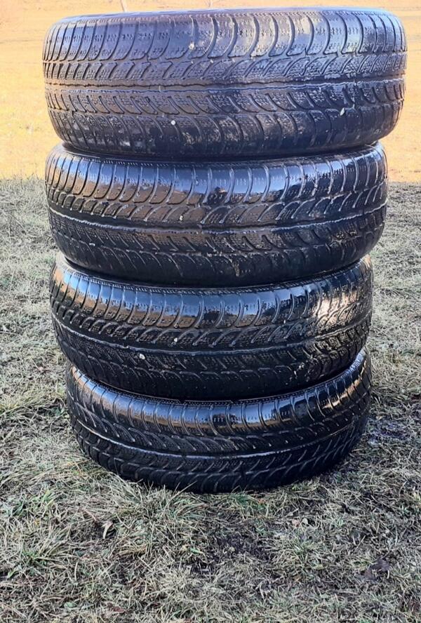 Sava - / - Zimska guma