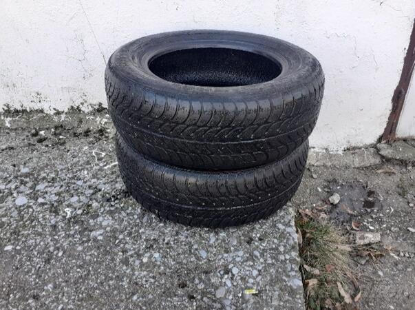 Sava - / - Zimska guma