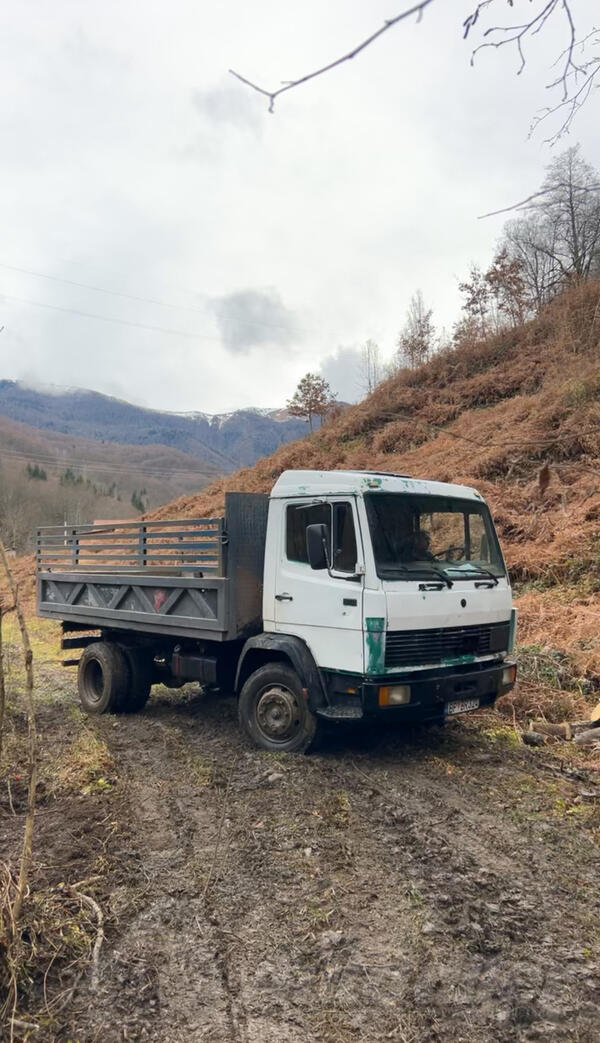 Mercedes Benz - 1117