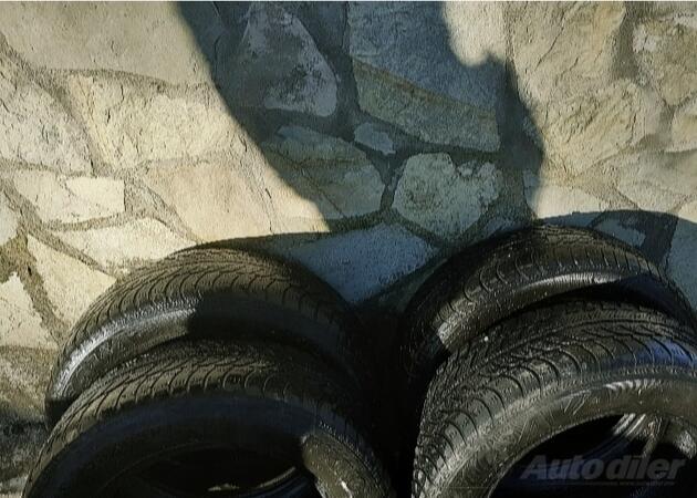 Sava - / - Dimër guma