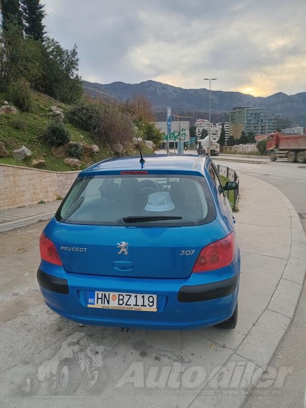 Peugeot - 307 - 1 6