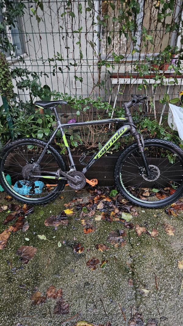 Capriolo - mtb