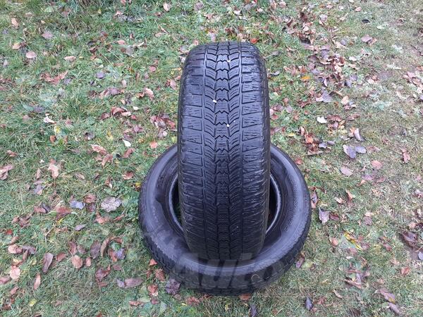 Sava - M+S - Kış guma