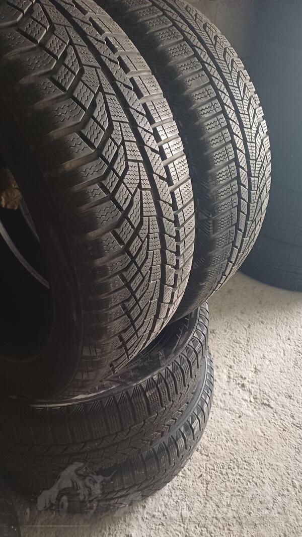 Sailun - 215 55 r17 - Kış guma