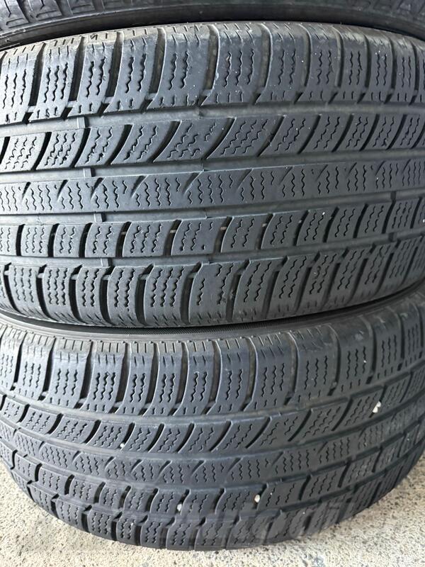 Dunlop - Dunlop - Zimska guma