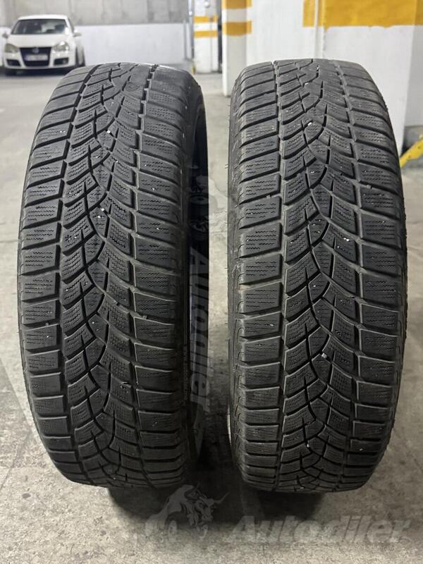 GoodYear - Goodyear zimske gume - Zimska guma