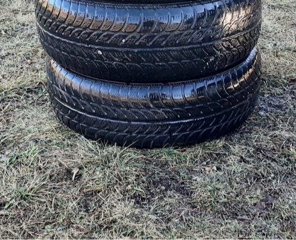 Sava - m+s - Zimska guma