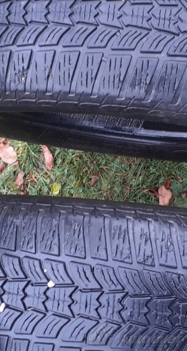 Sava - m+s - Zimska guma