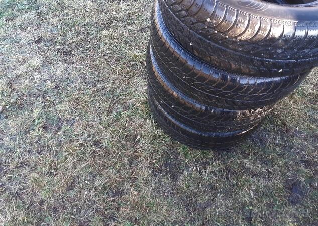 Sava - m+s - Zimska guma