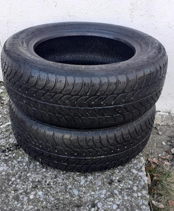 Sava - / - Zimska guma