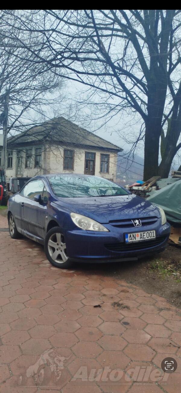 Peugeot - 307