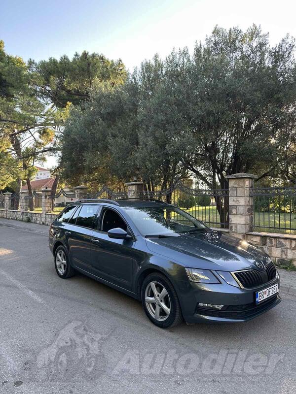Škoda - Octavia - 2.0 TDI 4x4