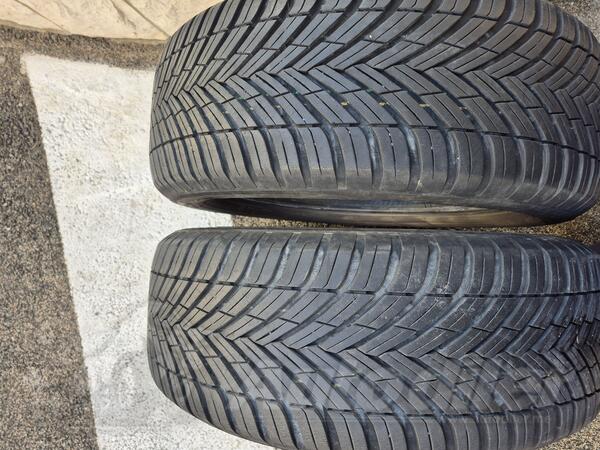 Toyo - Celsius as2 - Всесезонная guma