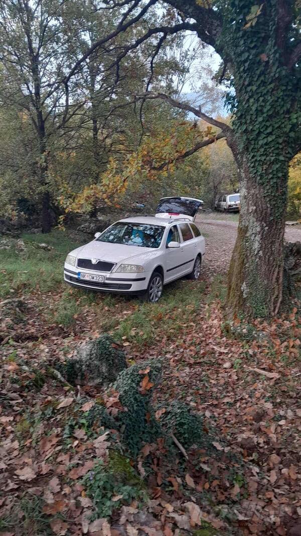 Škoda - Octavia - 19 td