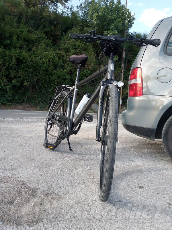 Dynamics - DiAMANT UBARI DELUXE