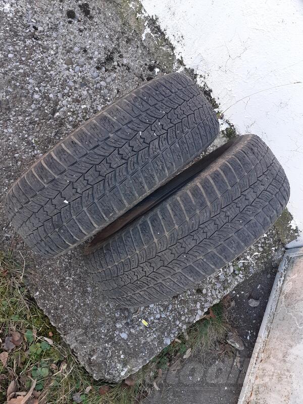 Sava - / - Зимняя guma