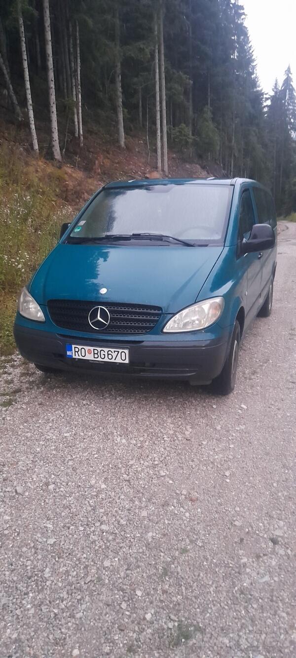 Mercedes Benz - Pitnicki