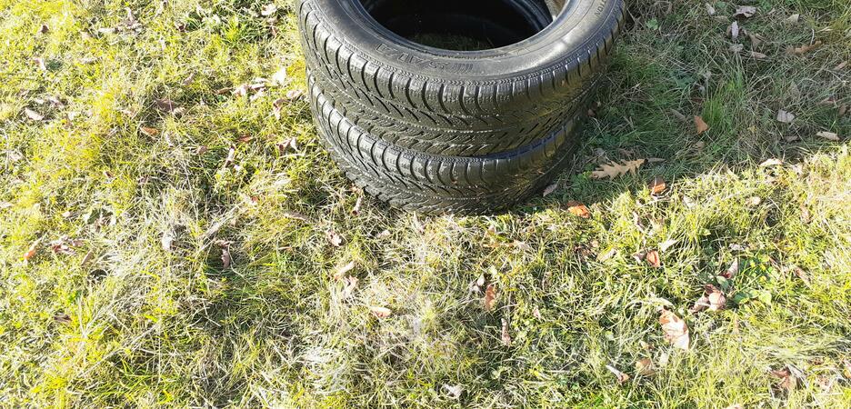 Sava - / - Zimska guma