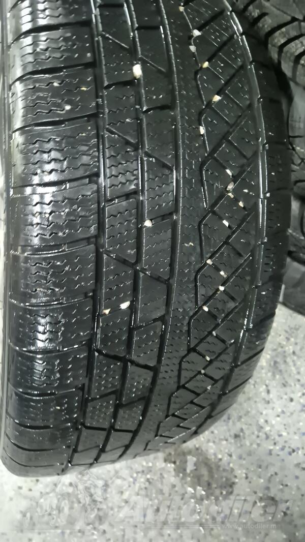 Petlas - zimska - Zimska guma