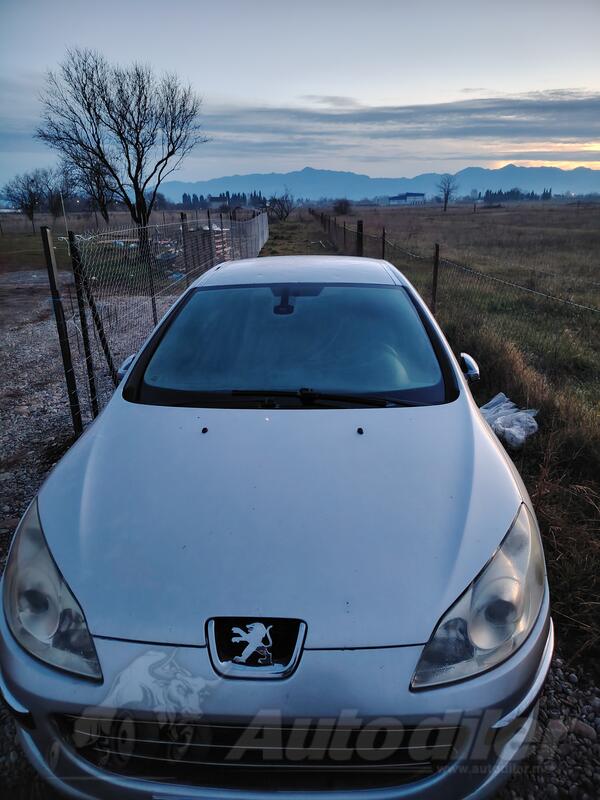 Peugeot - 407 - 1.6