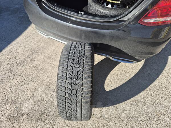 Sava - sava eskimo - Kış guma