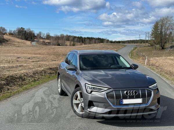 Audi - e-tron - Q8 55 Quattro 408ps