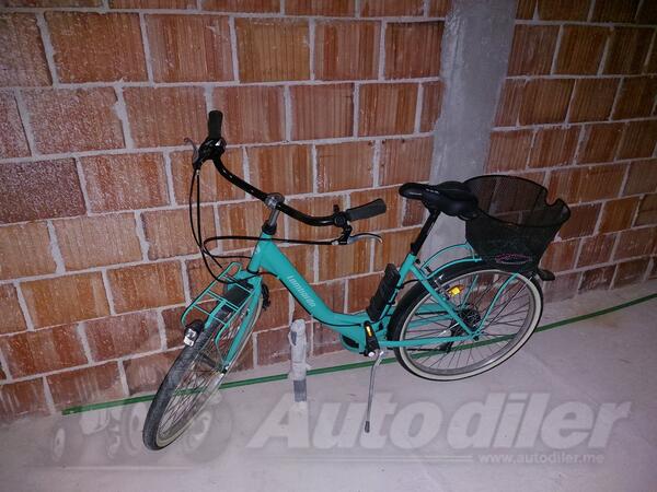 Shimano - lambardo Rimini 26