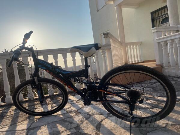 Capriolo - Dakota Adria 24