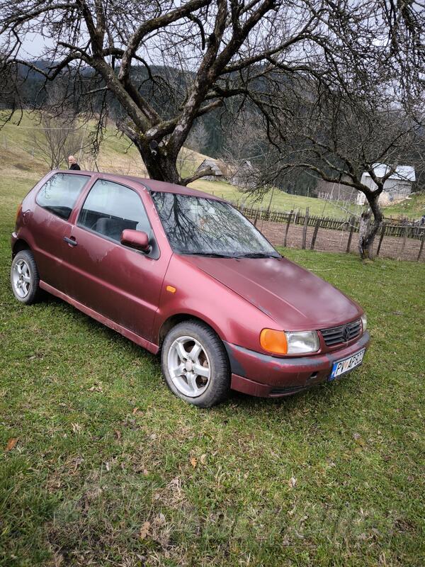 Volkswagen - Polo - 1.6