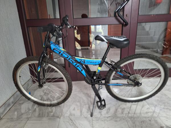 Capriolo - Adria stinger 24