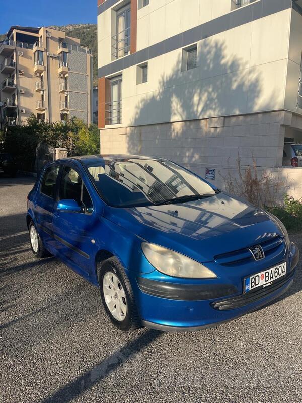 Peugeot - 307 - 1.6l 16V