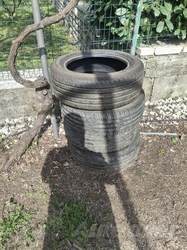 Sava - intensa - Ljetnja guma