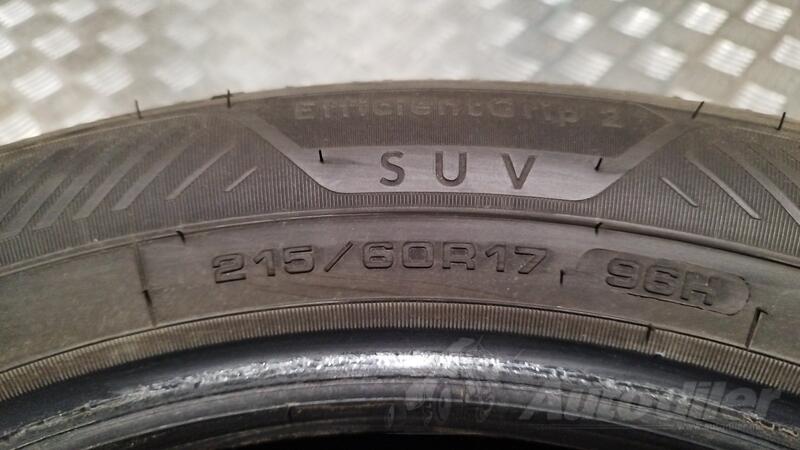 GoodYear - efficient grip - Ljetnja guma