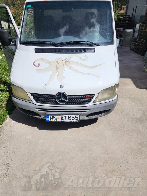 Mercedes Benz - Sprinter 313 CDI