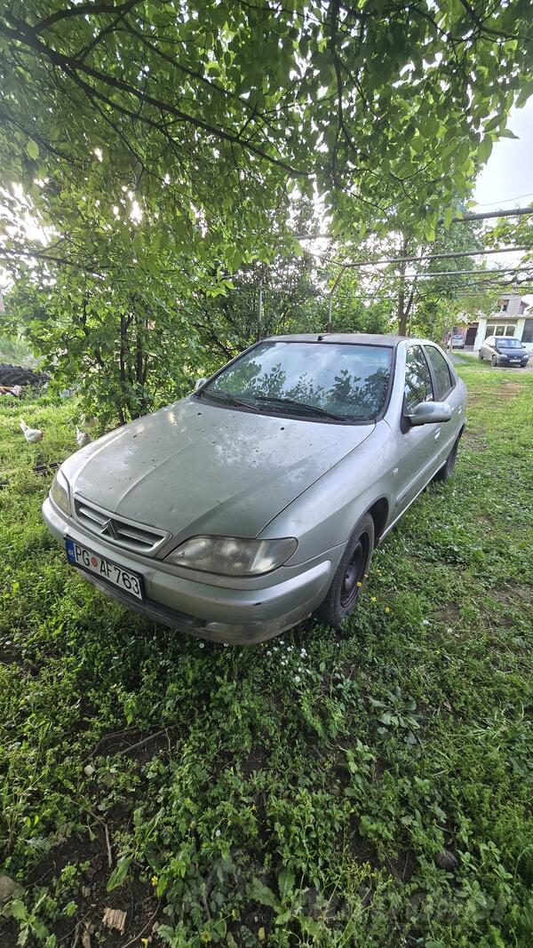 Citroen - Xsara