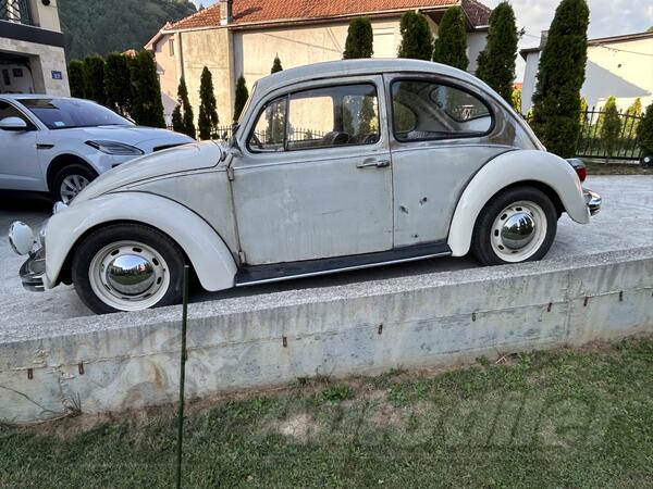 Volkswagen - Coccinele - Buba 1200