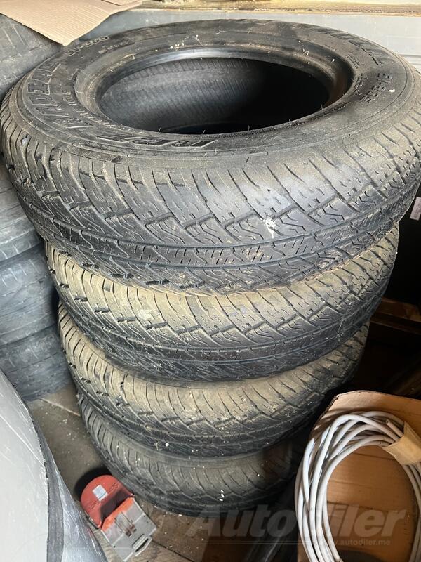 GT Radial - BCT RADIAL - Zimska guma