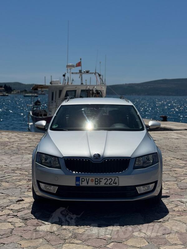 Škoda - Octavia - Bez ulaganja