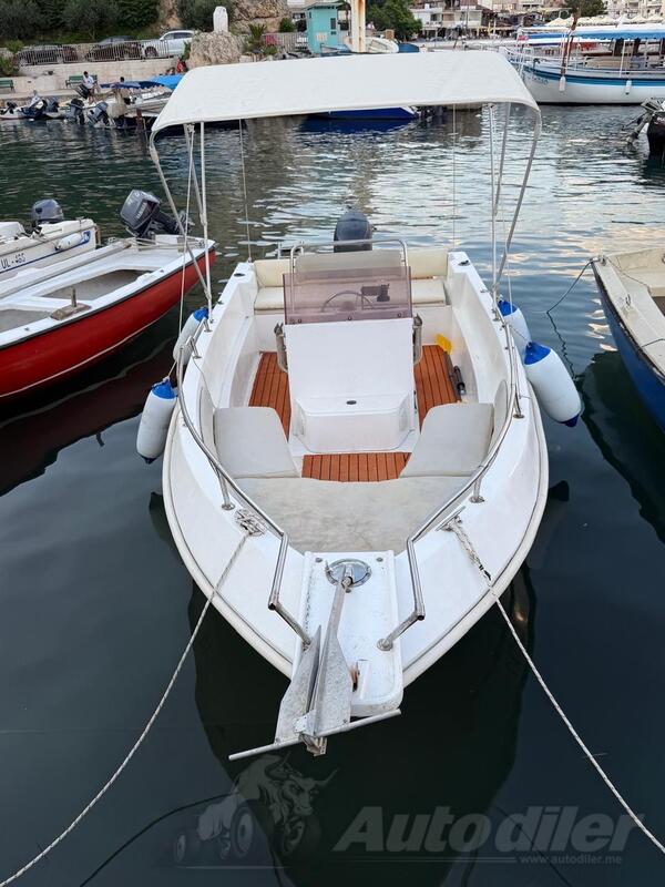 Salpa - Salpa585