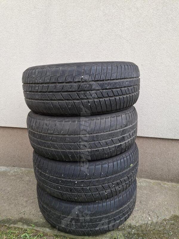 Barum - Polaris 5 - Zimska guma