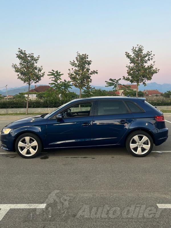 Audi - A3 - 1.6 TDI