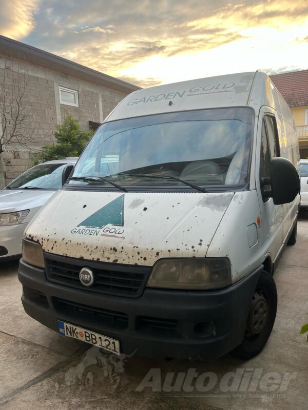 Fiat - Ducato Maxi