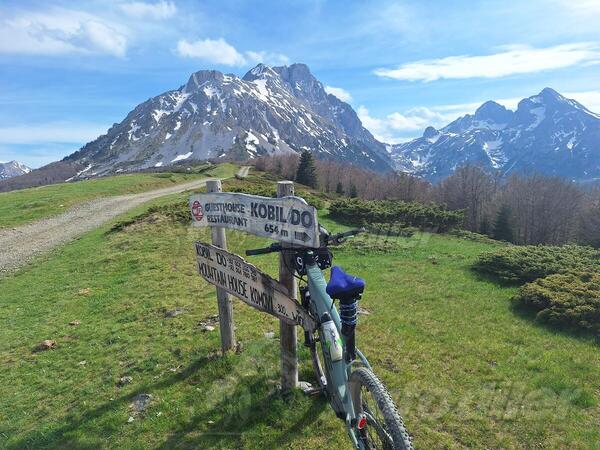 Focus - Fokus jarifa2