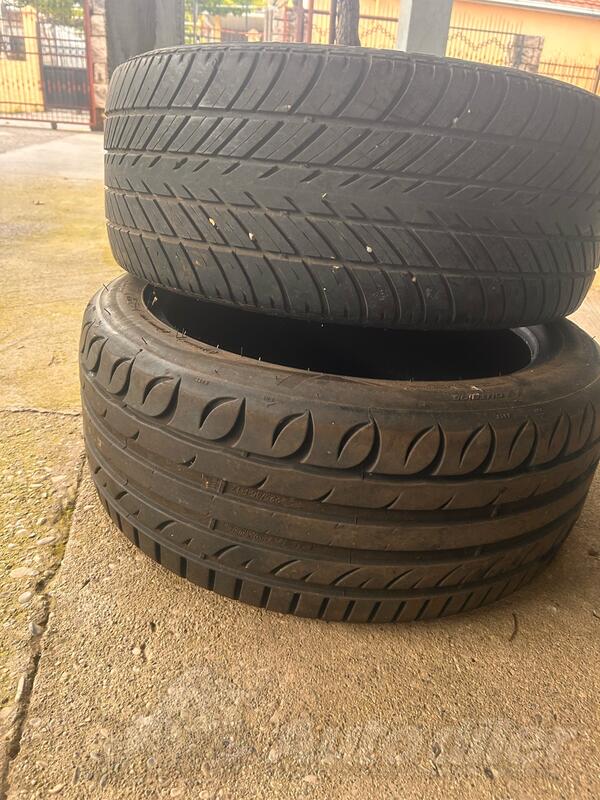 Tigar - Tigar i Kelly - Ljetnja guma