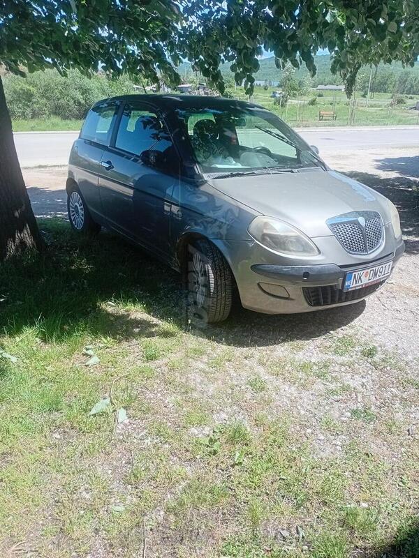 Lancia - Ypsilon - 1.3 mjtd