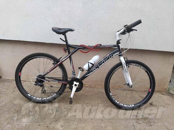 Capriolo - Cobra sport